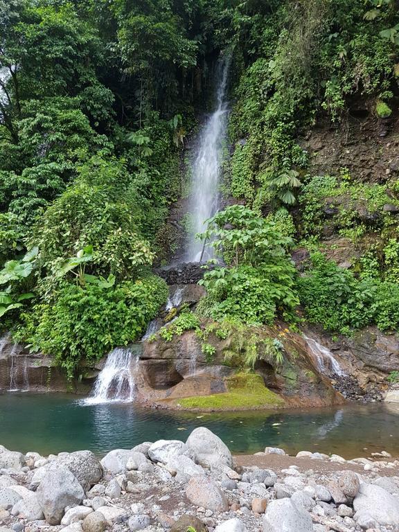 Río Cuarto Hostel Orozco - Costa Rica מראה חיצוני תמונה