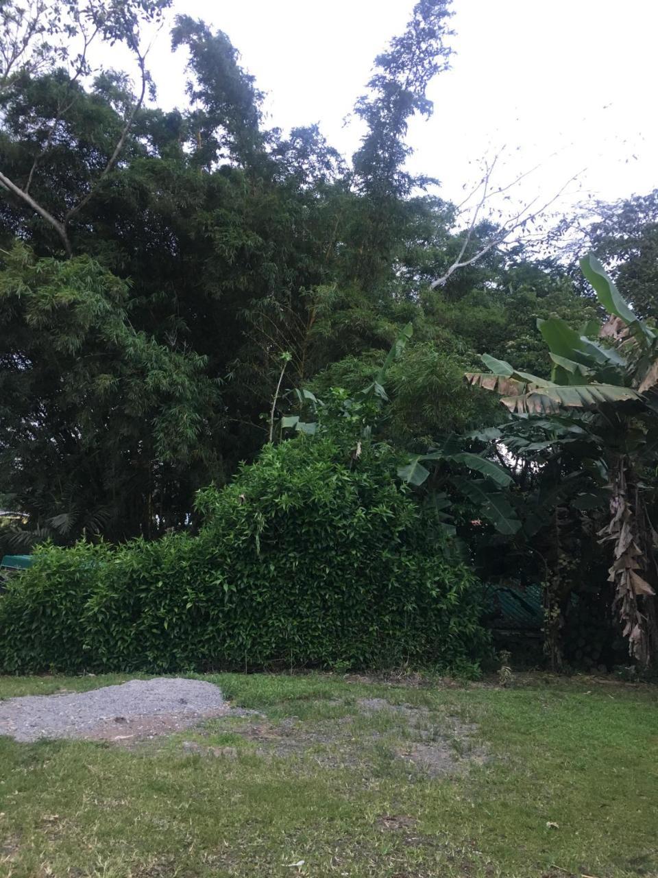 Río Cuarto Hostel Orozco - Costa Rica מראה חיצוני תמונה
