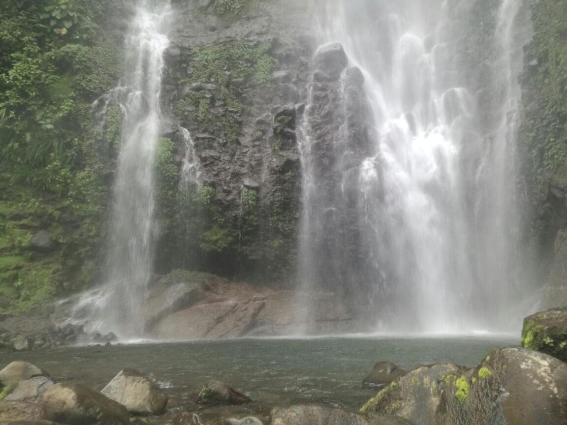 Río Cuarto Hostel Orozco - Costa Rica מראה חיצוני תמונה